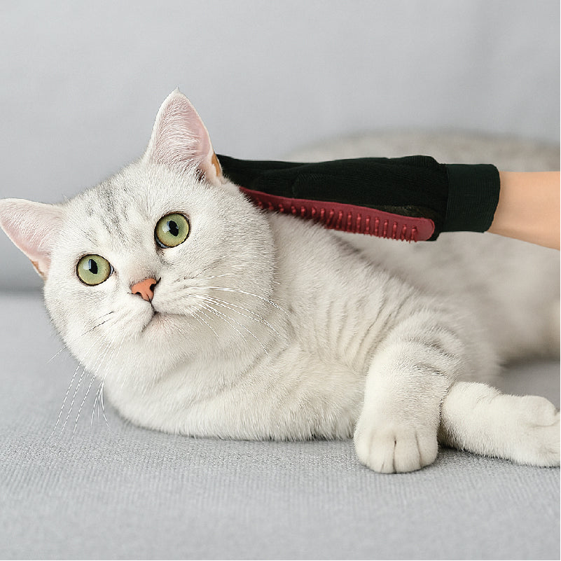 ElevatePaws™ FurSweep Grooming Gloves