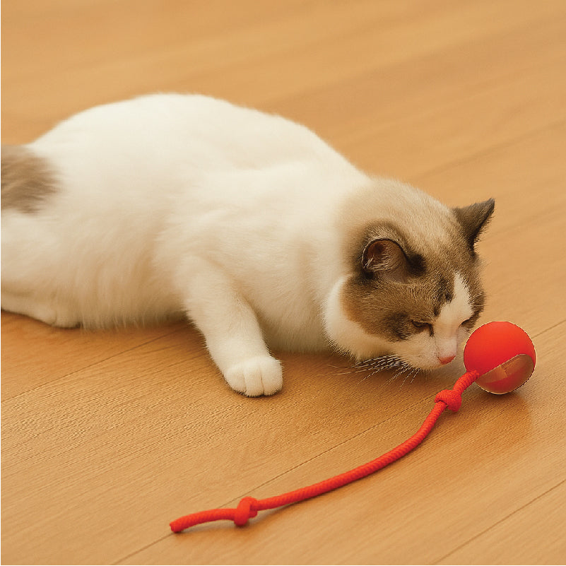 ElevatePaws™ RollPlay Smart Pet Ball
