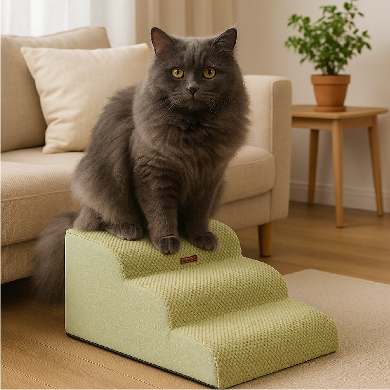 ElevatePaws™ Hydroponic Grass & Pet Ramp Duo