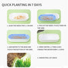 Petlivo PureSprout™ Soilless Cat Grass Kit