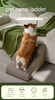 ElevatePaws™ Hydroponic Grass & Pet Ramp Duo