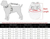 Petlivo CozyPaws™ Fleece Cat Apparel