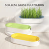 Petlivo PureSprout™ Soilless Cat Grass Kit