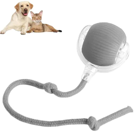 ElevatePaws™ RollPlay Smart Pet Ball