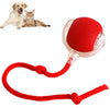 ElevatePaws™ RollPlay Smart Pet Ball