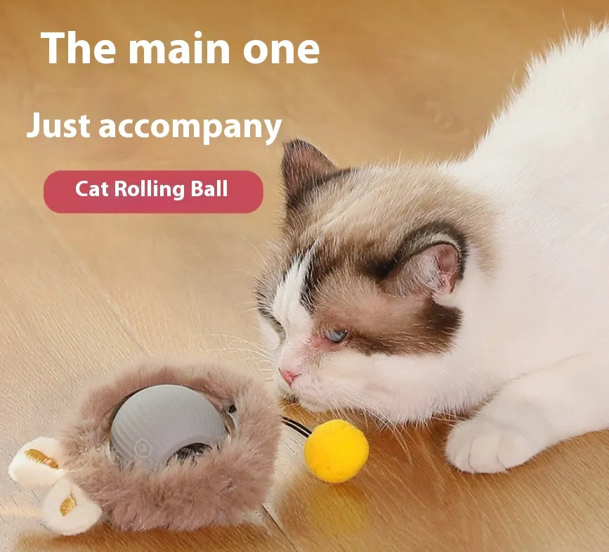 ElevatePaws™ PlushPlay Interactive Cat Ball
