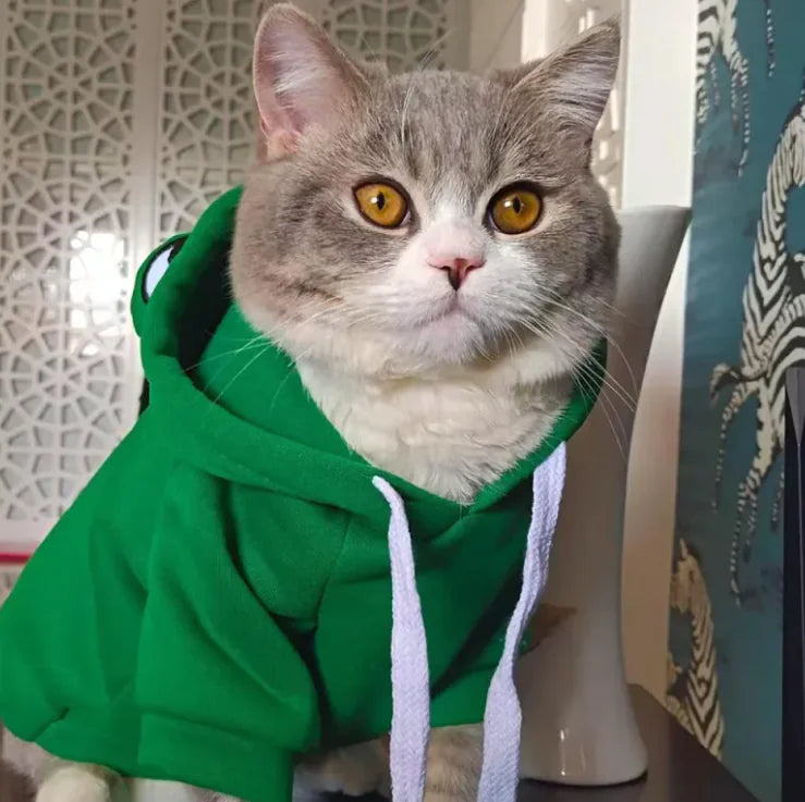 Petlivo CozyPaws™ Fleece Cat Apparel