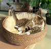 CozyNest™ Artisan Pet House