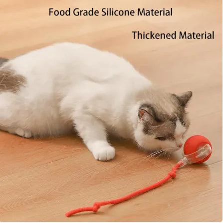 ElevatePaws™ RollPlay Smart Pet Ball